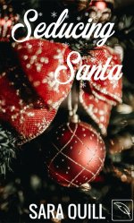 Seducing Santa - Sara Quill.jpg