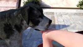 Felicitys_Holiday_Encounter_16.jpg