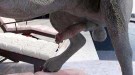 Felicitys_Holiday_Encounter_64.jpg