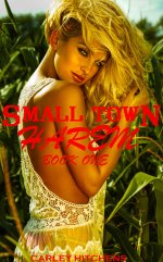 Small Town Harem_ MFFF Contemporary Harem Series (Comic Book Sh (Small Town Harem (Comic Book ...jpg