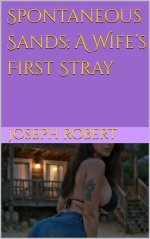 Spontaneous Sands_ A Wife’s First Stray - Joseph Robert.jpg