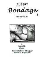 rzr_aubert_bondage1_01.jpg