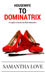 Housewife To Dominatrix - A Couple's Journey Into Male Submission.png