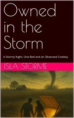 Owned in the Storm_ A Stormy Night, One Bed and an Obsessed Cowboy - Isla Storme.jpg