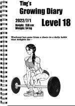 Ting Level18.jpg
