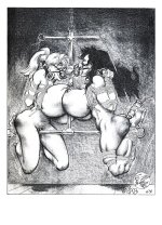 dMbo2_10.jpg