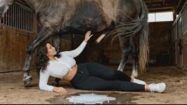 ezgif759908aa31e1fc54693e745799f41.gif