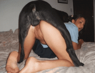 ezgif856aa51631843ff96936f7e0a6e8d-ezgif.com-resize.gif