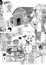 31.webp