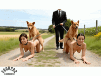 gif 2.gif