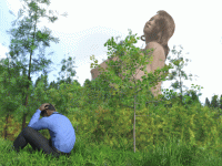Monthly 2-49-9.1 GIF (1).gif