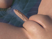 Monthly 2-53-33.2326.png