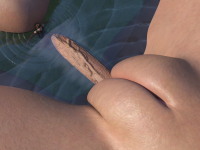 Monthly 2-53-36.2327.png