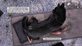 Sally-Bark-49.jpg