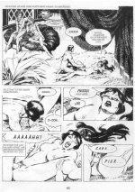 Der Bastard Der Venus_Seite_62.jpg
