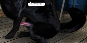 Tornado-Shelter-44.jpg