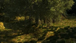 1631：walk117.webp