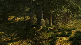 1632：walk118.webp