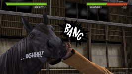 Fight Arena - 011.jpg