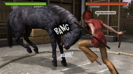 Fight Arena - 012.jpg