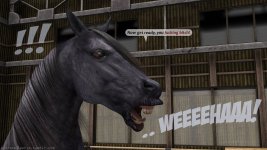 Fight Arena - 018.jpg
