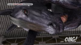 Fight Arena - 064.jpg