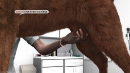 Special Veterinarian – Dr. Anett - 011.jpg