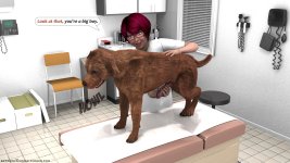 Special Veterinarian – Dr. Anett - 013.jpg
