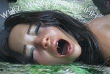 Elf (196).jpg
