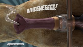 Sperm-Bank-33.jpg