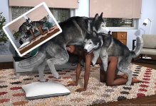 VIP wish 03 (Sexy Brittney with her two dogs King and Duke).jpg