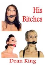 His Bitches - Dean King.jpg