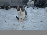IMG_20260624_214129.jpg