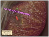59：Cathy_UFO_Part_2_059.jpg