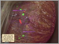 61：Cathy_UFO_Part_2_061.jpg