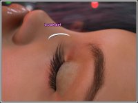76：Sapphire_UFO_Part_2_076.jpg