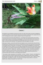 the_madagascar_sun-06.jpg