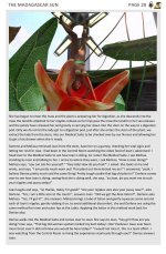 the_madagascar_sun-29.jpg