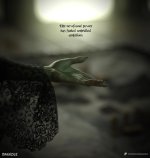 400.jpg