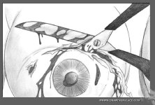 Baccus_-_Public_Spectacle0013.jpg