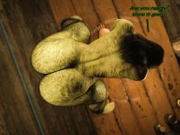 115_115.jpg