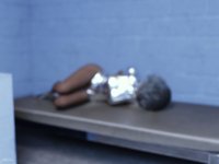 Sylblaze arrest 26a.jpg