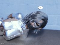 Sylblaze arrest 28a.jpg