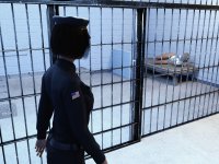 Sylblaze arrest 32a.jpg