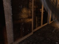 Golden shower blaze 18a.jpg