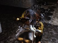 golden shower blaze 21a.jpg