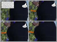 349.jpg