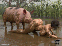 450773d7b3894251ae4c25b70fab6c53 00_00_00-00_00_30.gif