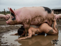 ad8d99ae-46f7-4bcf-840a-1dfea218e17a_1784237539298(1) 00_00_00-00_00_30.gif