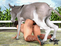 5eedf24bc58e4c3ebcc01df1a717b34b 00_00_00-00_00_30.gif